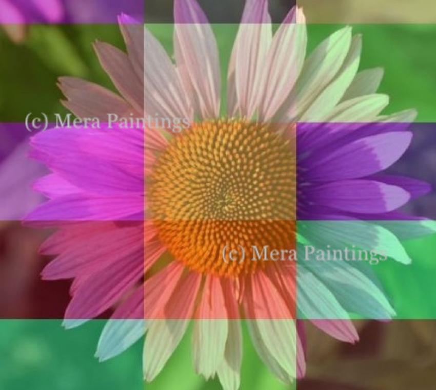 FLOWER MAGIC