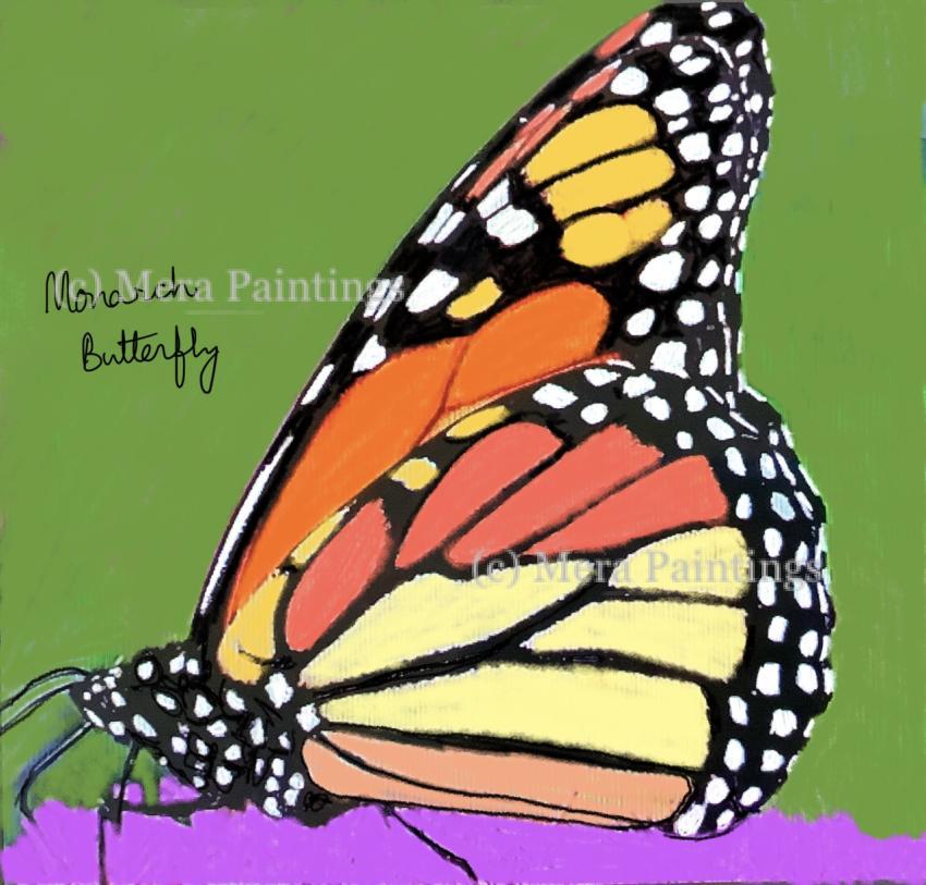 Monarch butterfly