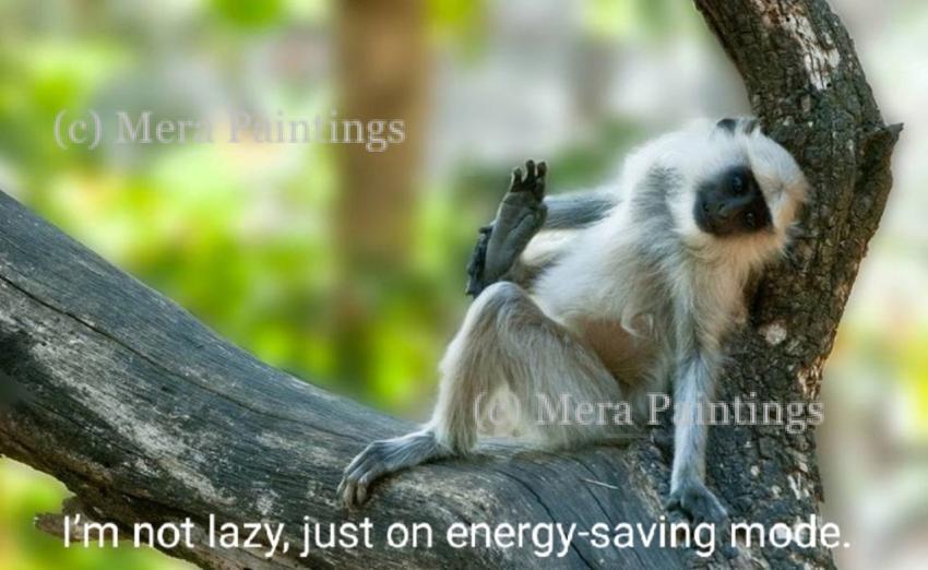 LAZINESS