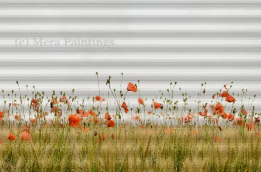 watercolour painting