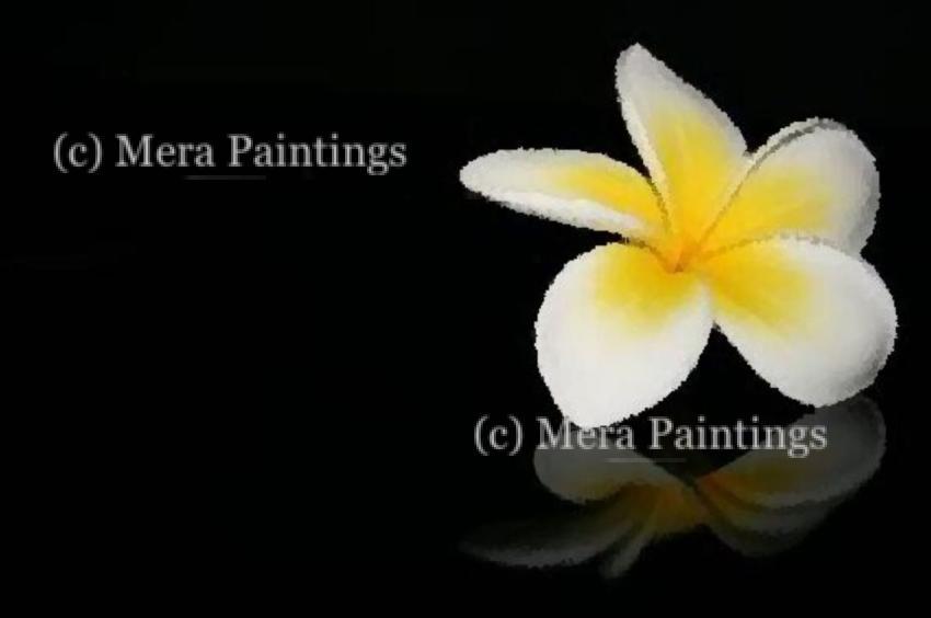 FRANGIPANI