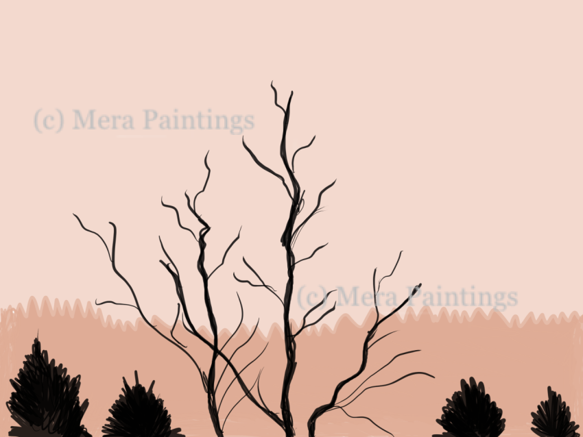 Backgrounds
