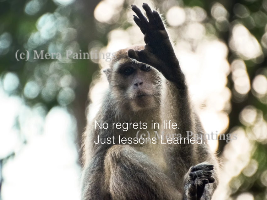 Life lessons