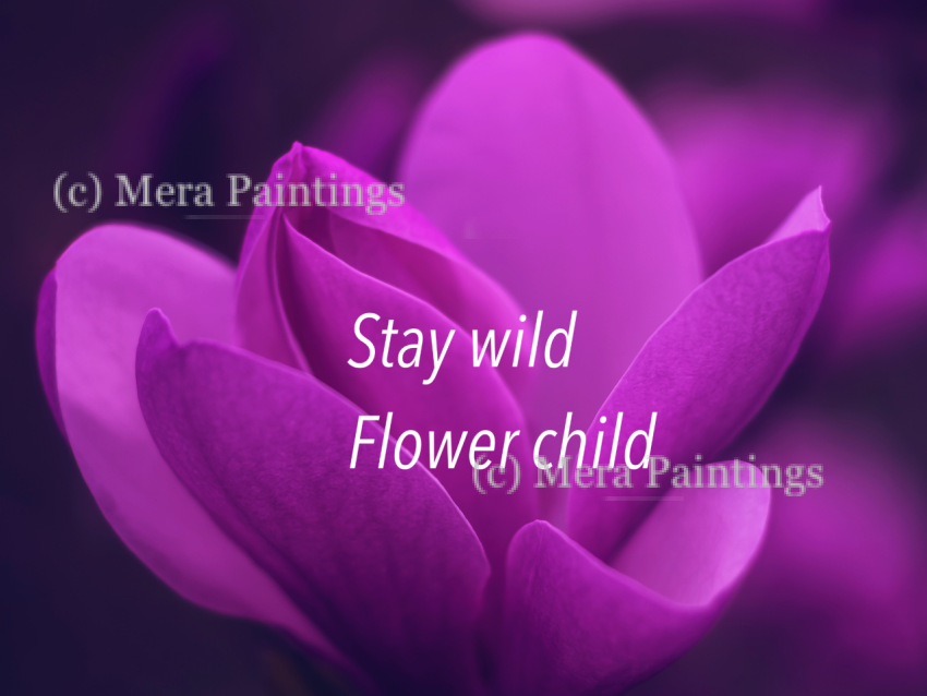Stay wild