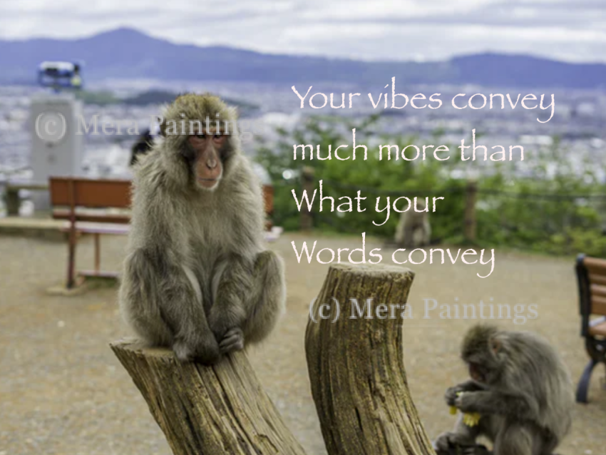 vibes vs words