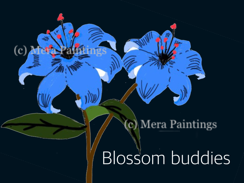 buds