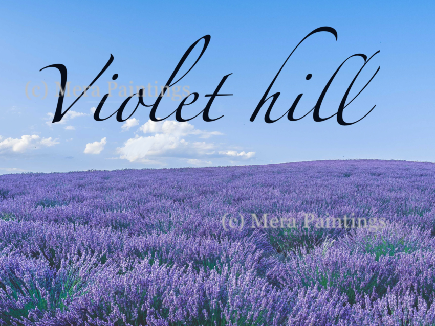 Violet hill