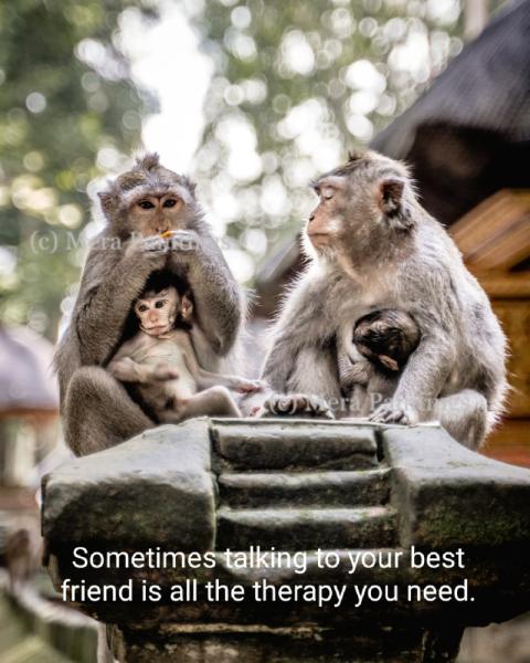best therapy
