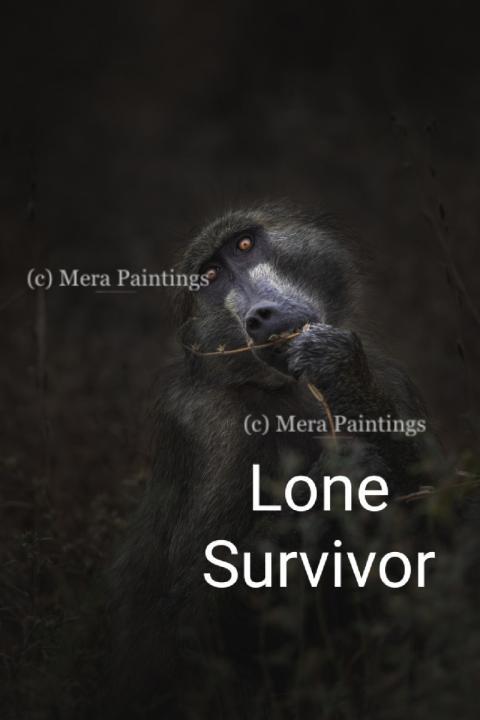 survivor