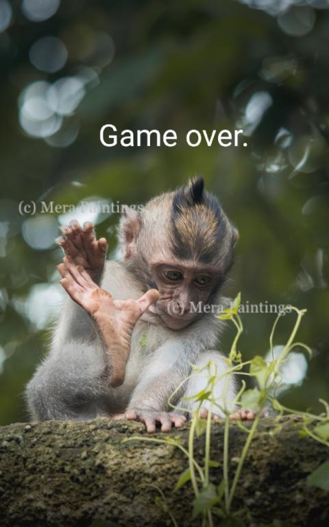 game over