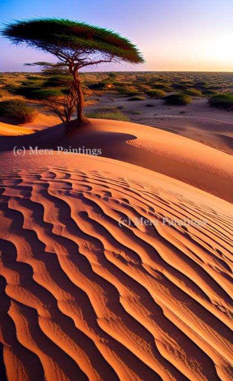 dunes