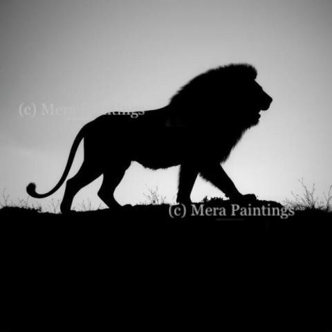Own your path, just like a lion