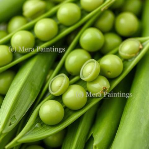 Close up of fresh green peas