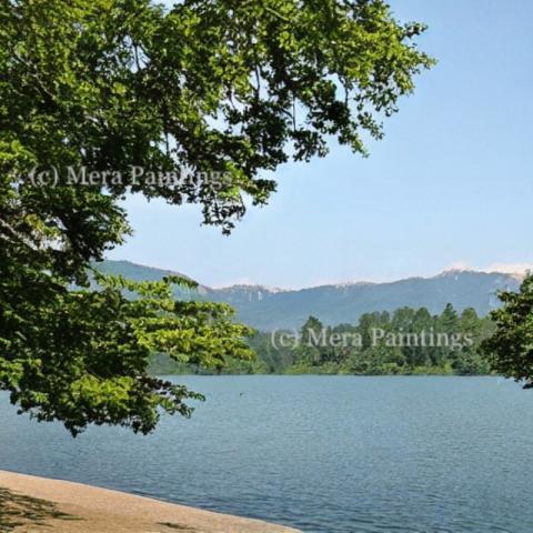 lake view