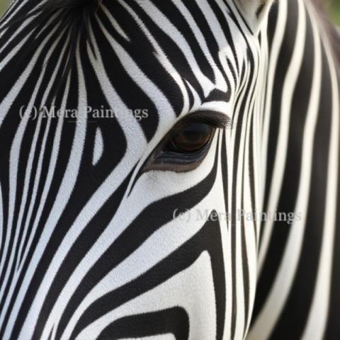Zebras: nature's perfect pattern