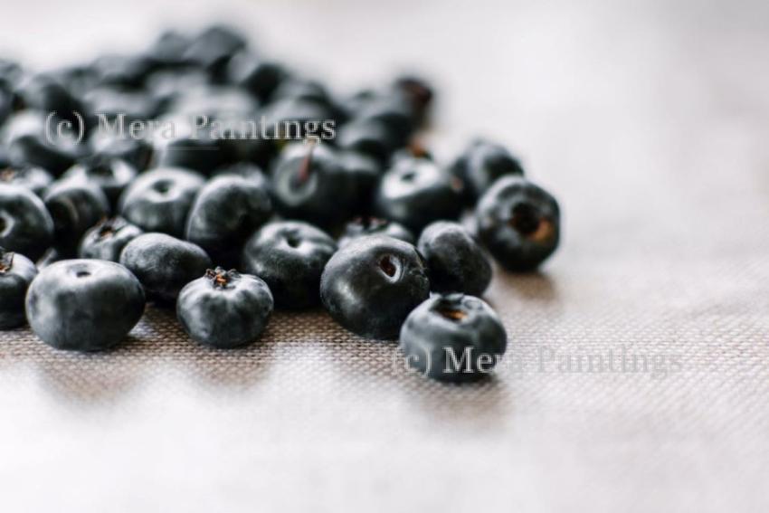 fruit fruit