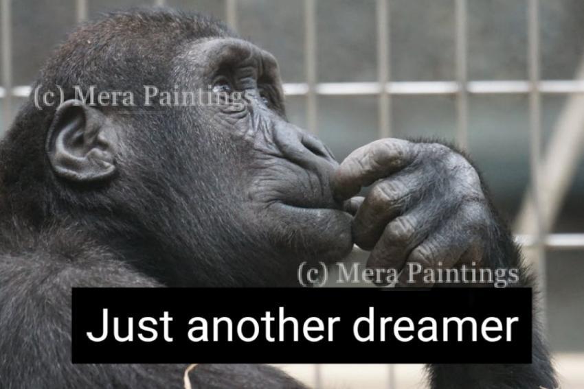 dreamer