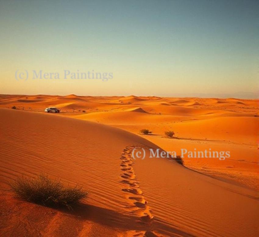 Exploring the desert, one dune at a time