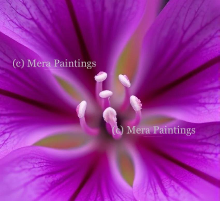 Because some flowers are meant to stand out