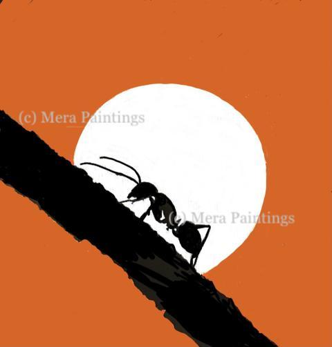 Silhoutte ant