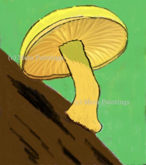 Yellow mushroom