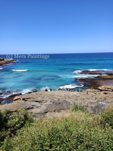 tamarama beach,sydney