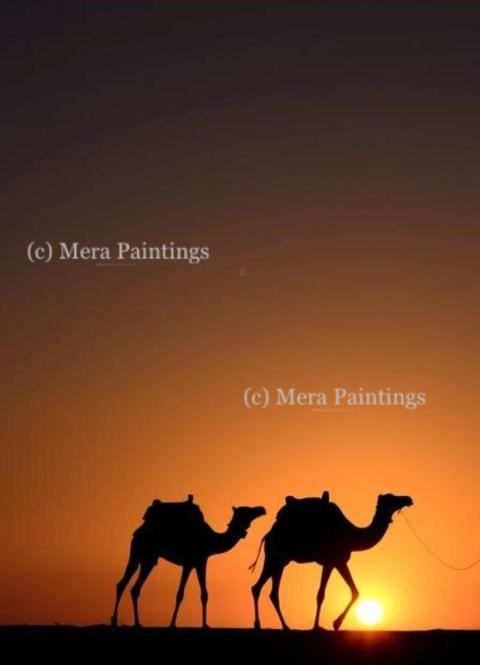 Camels