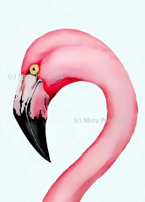 flamingo