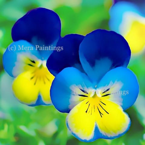 welcome spring