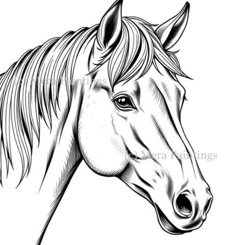Every horse is a masterpiece