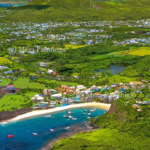 aerial view