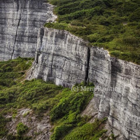 SEE THE WONDER OF NATURE AROUND YOU