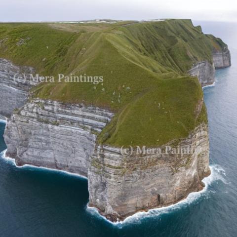 SCENIC BEAUTY