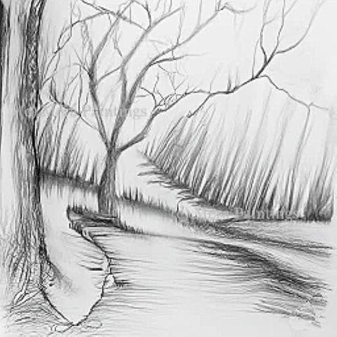 PENCIL ART