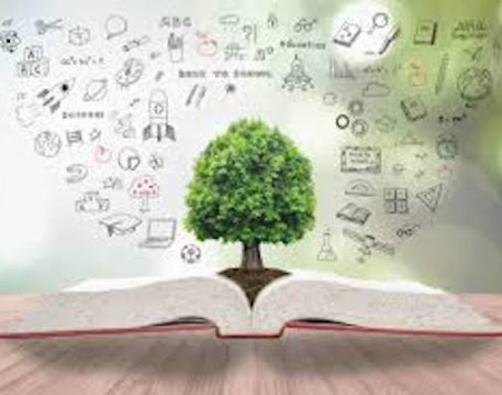 Education